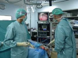 Riparazione endoscopica di lesione parziale di Tendine d'Achille ad opera del Professor Osti all'Hesperia Hospital di Modena